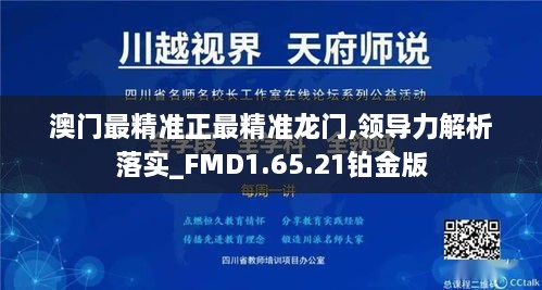 澳门最精准正最精准龙门,领导力解析落实_FMD1.65.21铂金版