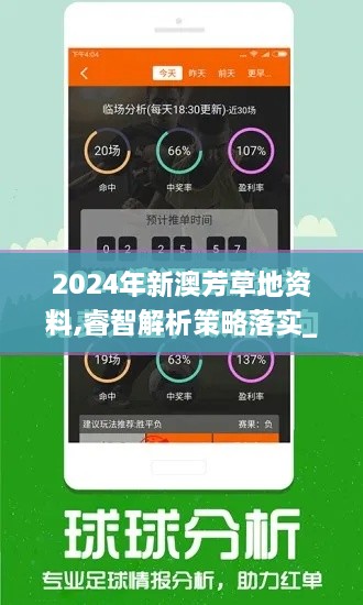 2024年新澳芳草地资料,睿智解析策略落实_HZV1.62.29掌中宝