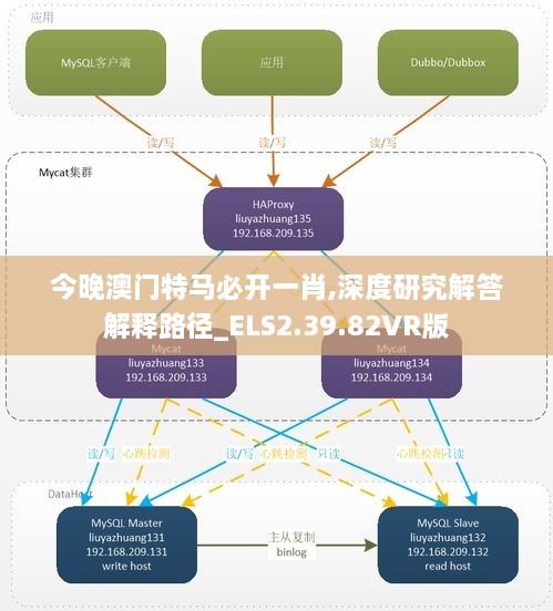 今晚澳门特马必开一肖,深度研究解答解释路径_ELS2.39.82VR版