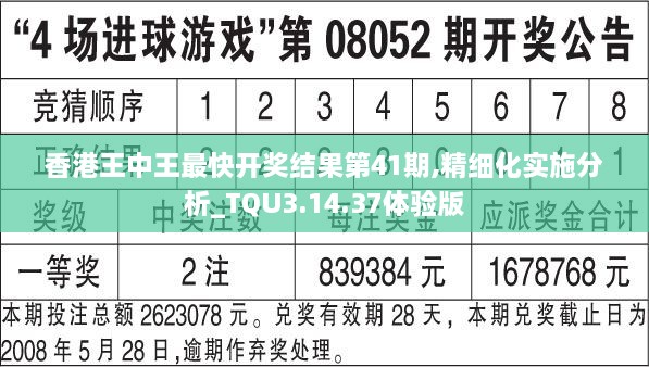 香港王中王最快开奖结果第41期,精细化实施分析_TQU3.14.37体验版