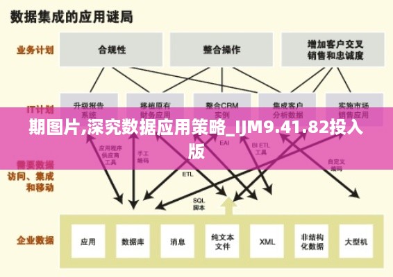 期图片,深究数据应用策略_IJM9.41.82投入版