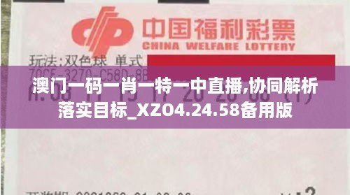 澳门一码一肖一特一中直播,协同解析落实目标_XZO4.24.58备用版