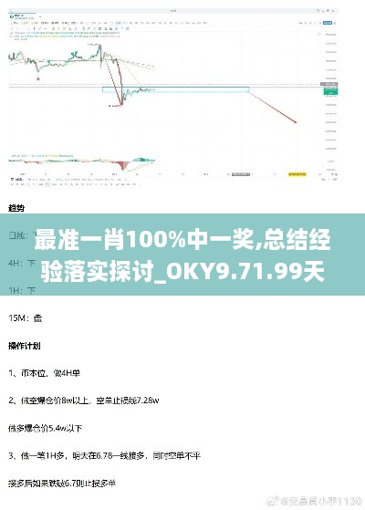 最准一肖100%中一奖,总结经验落实探讨_OKY9.71.99天然版