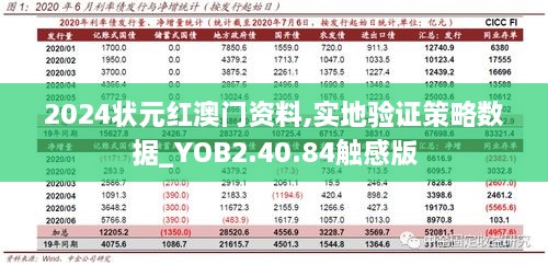 2024状元红澳门资料,实地验证策略数据_YOB2.40.84触感版