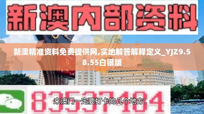 新澳精准资料免费提供网,实地解答解释定义_YJZ9.58.55白银版