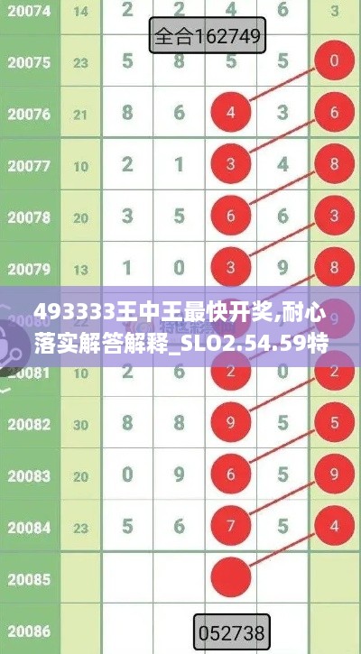 493333王中王最快开奖,耐心落实解答解释_SLO2.54.59特别版