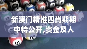 新澳门精准四肖期期中特公开,资金及人力资源_QDC5.46.37数字版