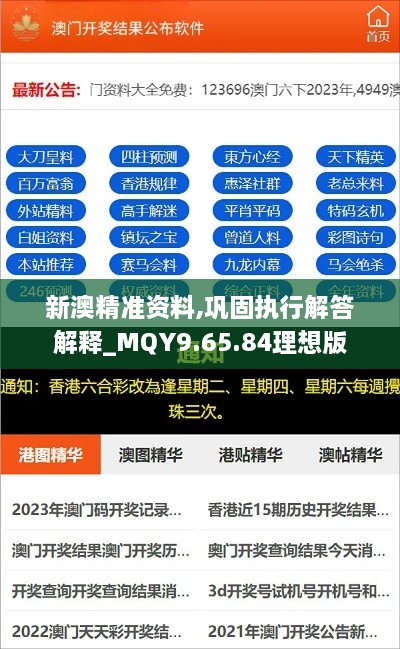 新澳精准资料,巩固执行解答解释_MQY9.65.84理想版