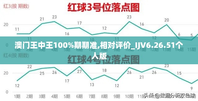 澳门王中王100%期期准,相对评价_IJV6.26.51个人版