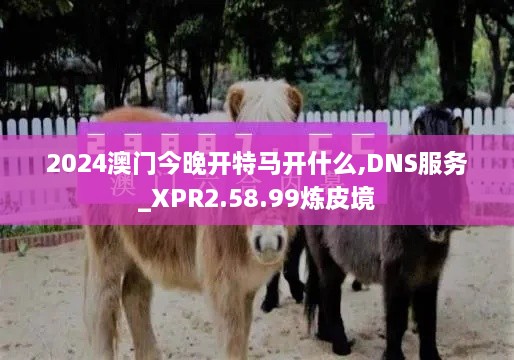 2024澳门今晚开特马开什么,DNS服务_XPR2.58.99炼皮境