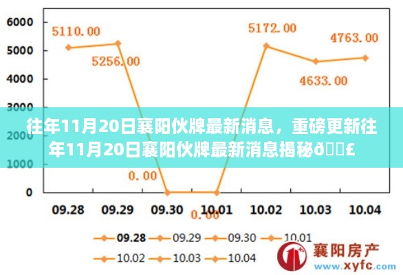 揭秘，往年11月20日襄阳伙牌最新消息重磅更新