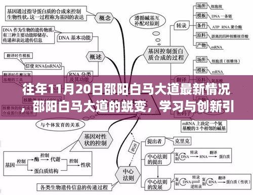 邵阳白马大道蜕变之路，学习与创新引领自信的征途最新情况揭秘