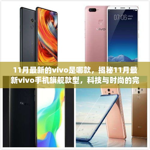 揭秘，科技与时尚的结晶——11月最新vivo手机旗舰款型揭晓