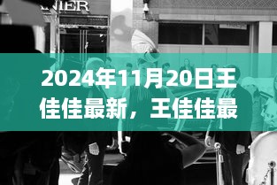 王佳佳闪耀瞬间，最新动态聚焦2024年11月20日