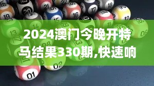 2024澳门今晚开特马结果330期,快速响应计划解析_FIK2.24