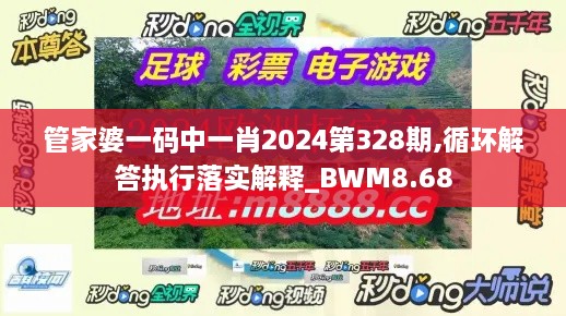 管家婆一码中一肖2024第328期,循环解答执行落实解释_BWM8.68