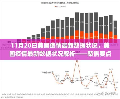 美国疫情最新数据解析报告，聚焦要点洞察疫情进展（11月20日报告）