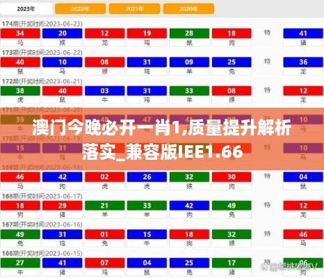 澳门今晚必开一肖1,质量提升解析落实_兼容版IEE1.66