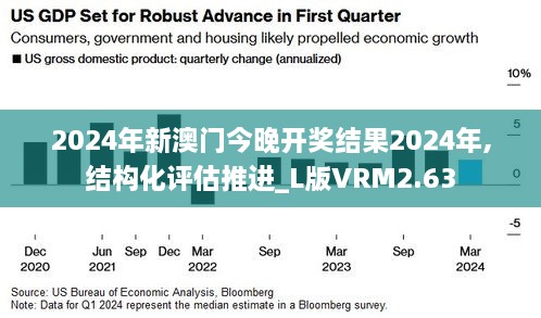 2024年新澳门今晚开奖结果2024年,结构化评估推进_L版VRM2.63