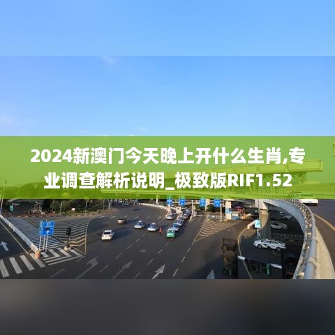 2024新澳门今天晚上开什么生肖,专业调查解析说明_极致版RIF1.52