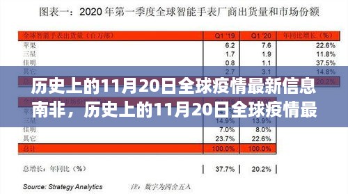 历史上的11月20日全球疫情最新动态，南非焦点解析与全球疫情信息汇总