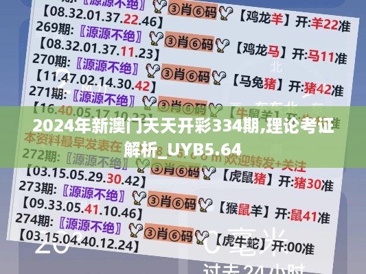 2024年新澳门天天开彩334期,理论考证解析_UYB5.64