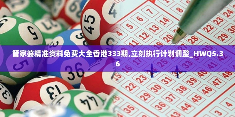 管家婆精准资料免费大全香港333期,立刻执行计划调整_HWQ5.36