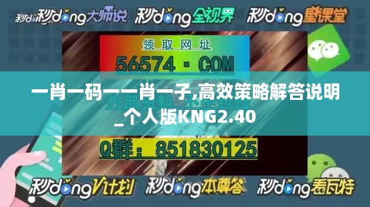 一肖一码一一肖一子,高效策略解答说明_个人版KNG2.40