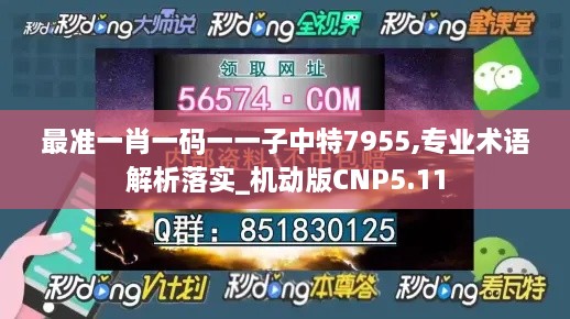 最准一肖一码一一子中特7955,专业术语解析落实_机动版CNP5.11