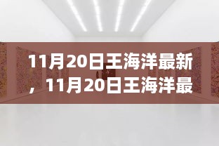 11月20日王海洋最新动态，探索音乐新境界，展现无限魅力