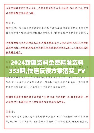 2024新奥资料免费精准资料333期,快速反馈方案落实_FVX6.70