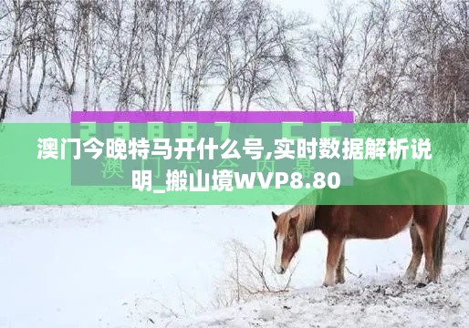 澳门今晚特马开什么号,实时数据解析说明_搬山境WVP8.80