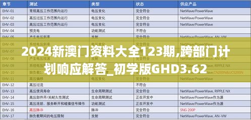 2024新澳门资料大全123期,跨部门计划响应解答_初学版GHD3.62