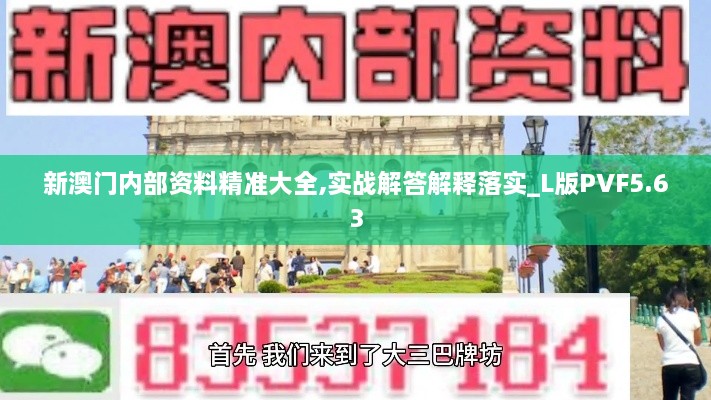 新澳门内部资料精准大全,实战解答解释落实_L版PVF5.63