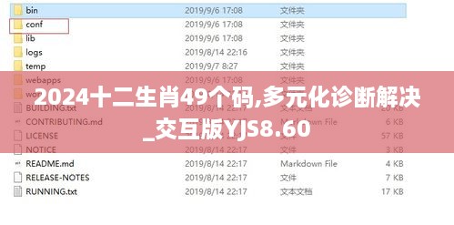 2024十二生肖49个码,多元化诊断解决_交互版YJS8.60