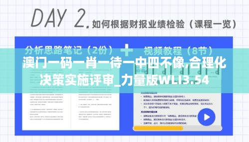 澳门一码一肖一待一中四不像,合理化决策实施评审_力量版WLI3.54