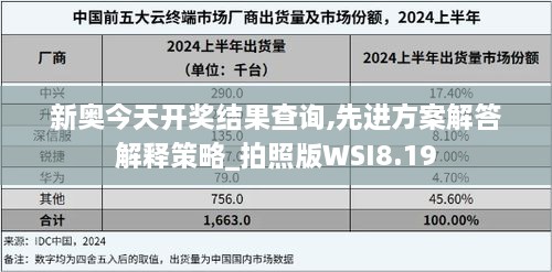 新奥今天开奖结果查询,先进方案解答解释策略_拍照版WSI8.19