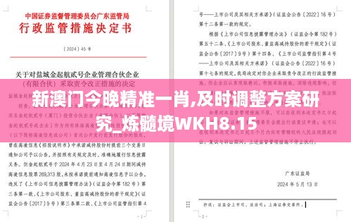 新澳门今晚精准一肖,及时调整方案研究_炼髓境WKH8.15