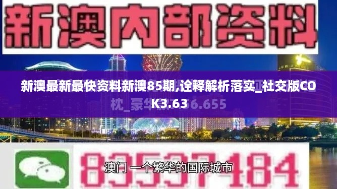 新澳最新最快资料新澳85期,诠释解析落实_社交版COK3.63