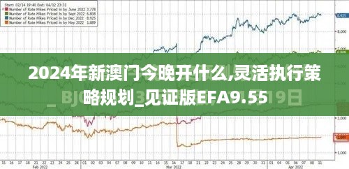 2024年新澳门今晚开什么,灵活执行策略规划_见证版EFA9.55