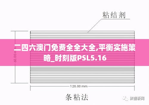 二四六澳门免费全全大全,平衡实施策略_时刻版PSL5.16