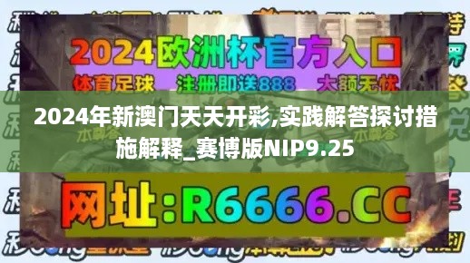 2024年新澳门天天开彩,实践解答探讨措施解释_赛博版NIP9.25