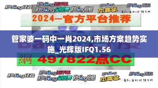 管家婆一码中一肖2024,市场方案趋势实施_光辉版IFQ1.56