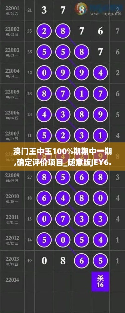 澳门王中王100%期期中一期,确定评价项目_随意版JEY6.40