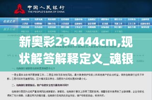 新奥彩294444cm,现状解答解释定义_魂银版NMJ1.15