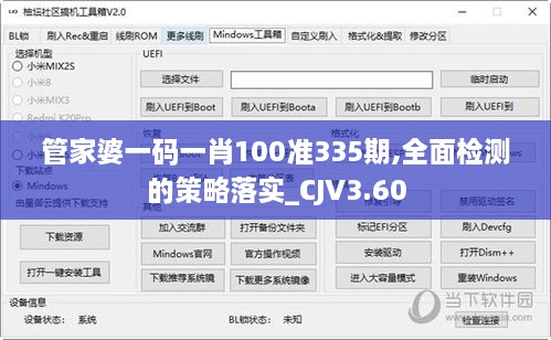 管家婆一码一肖100准335期,全面检测的策略落实_CJV3.60