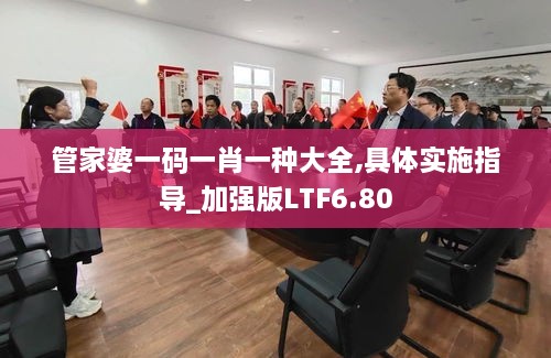 管家婆一码一肖一种大全,具体实施指导_加强版LTF6.80