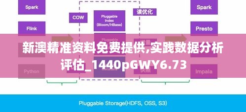 新澳精准资料免费提供,实践数据分析评估_1440pGWY6.73