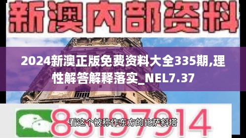 2024新澳正版免费资料大全335期,理性解答解释落实_NEL7.37