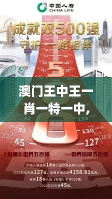 澳门王中王一肖一特一中,数据整合计划解析_声学版WOO5.17